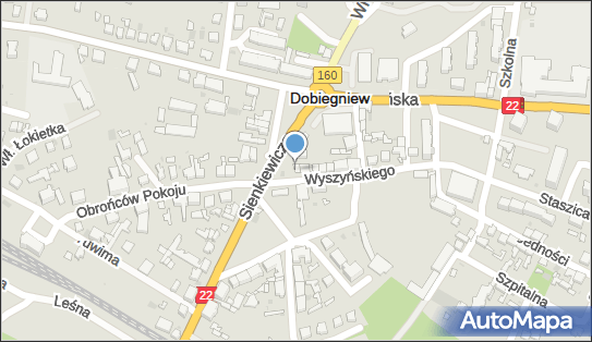 Lewiatan - Sklep, Wyszyńskiego 1, Dobiegniew 66-520, godziny otwarcia