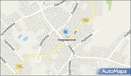 Lewiatan - Sklep, Kościuszki 11, Niegowonice 42-454, godziny otwarcia
