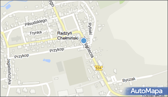 Lewiatan - Sklep, Przykop 1, Radzyń Chełmiński 87-220, godziny otwarcia