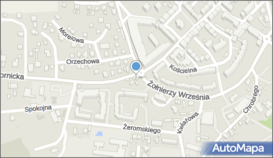 Liceum Ogólnokształcące Dla Dorosłych W Powiatowym Zespole Szkół Nr 2 Im. Piotra Włostowica W Trzebnicy 55-100 - Liceum, numer telefonu