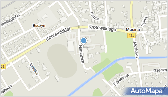 Lidl - Supermarket, HARCERSKA 3-5, Mosina 62-050, godziny otwarcia