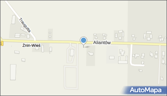 Lidl - Supermarket, ulica Aliantów 33e, Żnin 88-400, godziny otwarcia