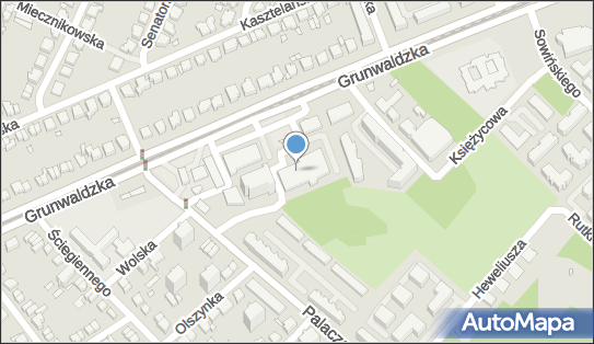 Lidl - Supermarket, Grunwaldzka 104 b, Poznań 60-307, godziny otwarcia