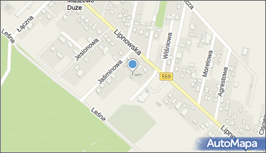 Livio - Sklep, Lipnowska 105, Maszewo Duże 09-400, godziny otwarcia