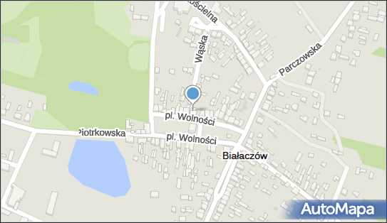 Livio - Sklep, Plac Wolności 23, Białaczków 26-307, godziny otwarcia