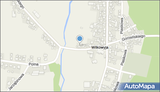 Livio - Sklep, Gorzeńskiego 24A, Wilkowyja 63-200
