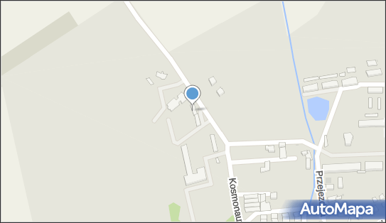 Skydive Leszno Sp. z o.o., Szybowników 28, Leszno 64-100 - Lotnictwo, godziny otwarcia, numer telefonu