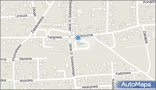 Orlen, Króla Jana III Sobieskiego 62, Luboń 62-031 - LPG - Stacja, godziny otwarcia, numer telefonu