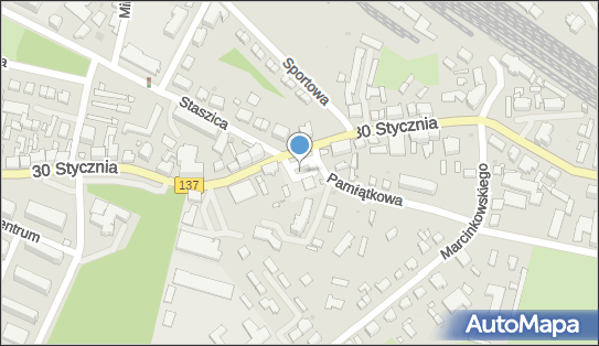 Orlen, Pamiątkowa 2, Międzyrzecz 66-300 - LPG - Stacja, numer telefonu