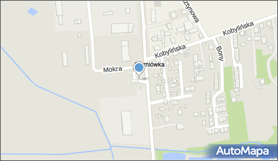 Orlen, Armii Krajowej 41, Grójec 05-600 - LPG - Stacja, godziny otwarcia, numer telefonu