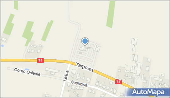 Orlen, Górno 136, Górno - LPG - Stacja, numer telefonu