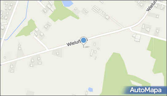 Stacja LPG, Wieluńska, Kowale 46-320 - LPG - Stacja