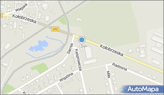 Stacja LPG, Kasprowicza Jana 71, Trzebiatów 72-320 - LPG - Stacja