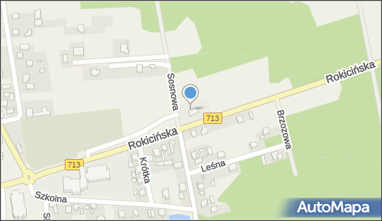 Stacja LPG, Sosnowa 2, Kurowice 95-006 - LPG - Stacja