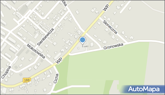 Stacja LPG, Gronowska, Debrzno 77-310 - LPG - Stacja