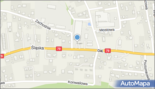 Stacja LPG, DK 79, Śląska 238, Zabierzów 32-080 - LPG - Stacja