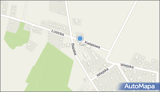 Szyc, Kwiatowa, Leśna Podlaska 21-542 - LPG - Stacja