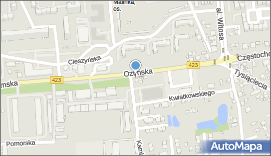 Viva, Ozimska423, Opole 45-057, 45-058, 45-309, 45-310, 45-368, 45-370 - LPG - Stacja