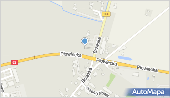 Wasbruk, Płowiecka62266, Radziejów 88-200 - LPG - Stacja
