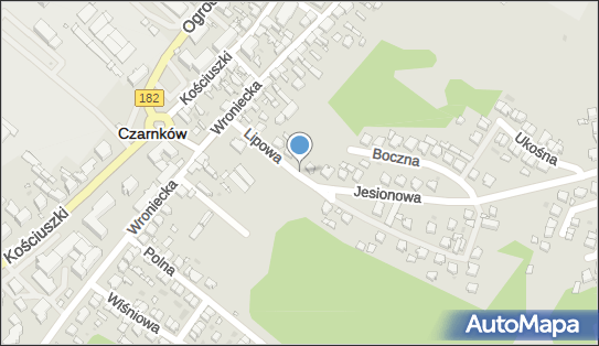 Światłowód Internet TV -Netia Czarnków-Zamów Usługi, Czarnków 64-700 - Media - Biuro, Oddział, godziny otwarcia, numer telefonu