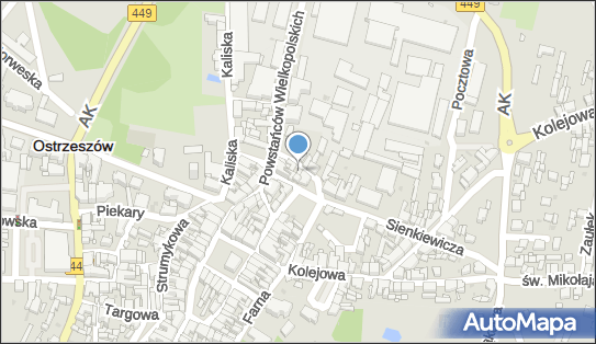 AMI, Przesmyk 2, Ostrzeszów 63-500 - Mięsny - Sklep