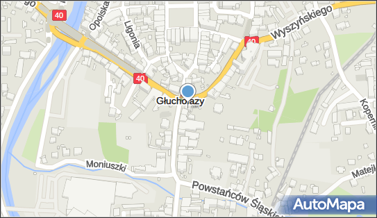 Sklep Hurtownia Modniś, ul. Warszawska 3, Głuchołazy 48-340 - Mięsny - Sklep, NIP: 7550005495