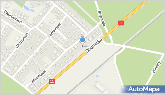 Sklep Mięsno Spożywczy, Jaśminowa 8, Kowanówko 64-600 - Mięsny - Sklep, NIP: 7871331502