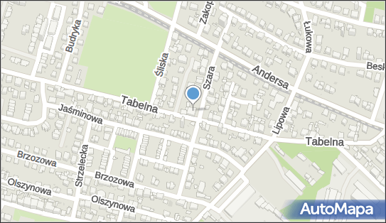 6251462178, Sklep Mięsny Wieczorek Ewa 