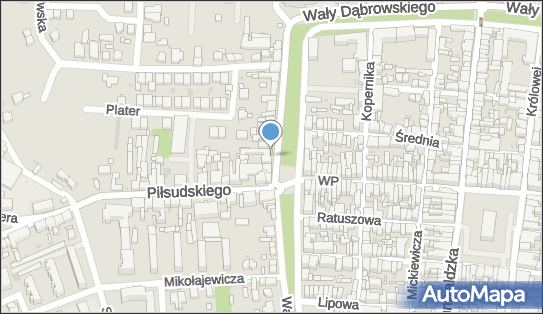 6991027456, Sklep Spożywczy Mięso-Wędliny Regina Senga, Rawicz 