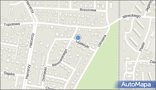 8410000966, Sklep Spożywczy - Irena Bartosiewicz 