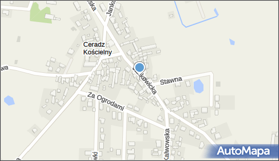 Sklep Wielobranżowy Waldemar Kosicki, Jankowicka 10 62-080 - Mięsny - Sklep, NIP: 7771111155