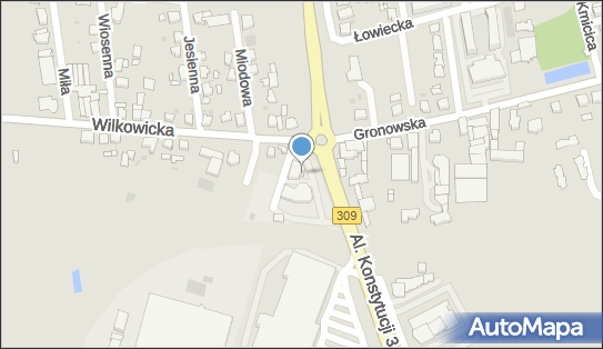 MOL - Stacja paliw, Poznańska 7, Leszno 64-100, godziny otwarcia, numer telefonu