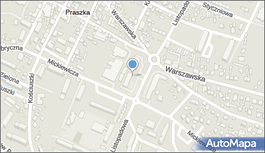 MOL - Stacja paliw, Listopadowa 14, Praszka 46-320, godziny otwarcia, numer telefonu
