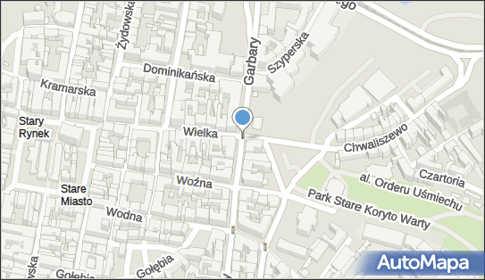 Monitoring miejski, Wielka, Poznań 61-774, 61-775 - Monitoring miejski