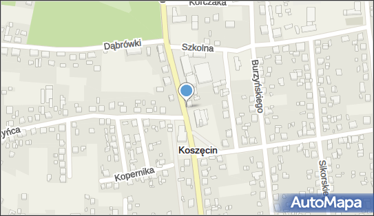Monitoring miejski, Sobieskiego907, Koszęcin 42-286 - Monitoring miejski