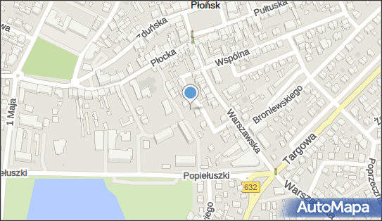 Monitoring miejski, Zaułek 24, Płońsk 09-100 - Monitoring miejski