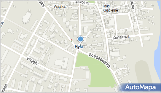 Monitoring miejski, Ryki - Monitoring miejski
