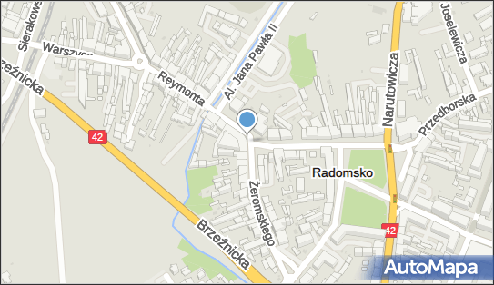 Monitoring miejski, Reymonta Władysława, Radomsko 97-500 - Monitoring miejski