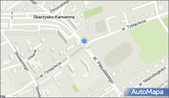 Monitoring miejski, Skarżysko-Kamienna - Monitoring miejski