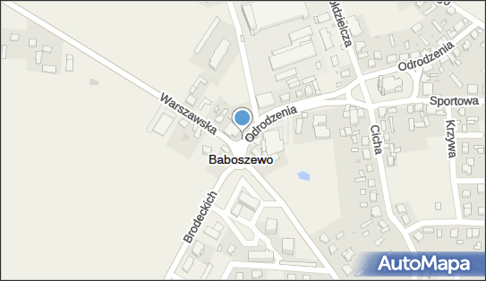 Sklep Monopolowy, Odrodzenia 1, Baboszewo 09-130 - Monopolowy - Sklep