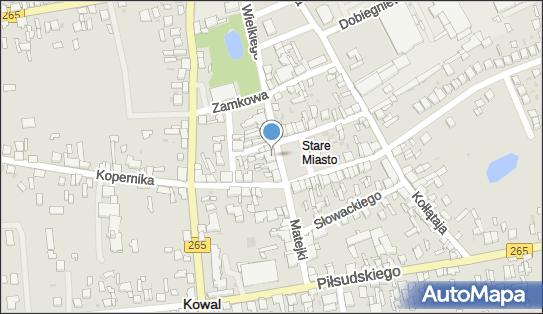 Azalia, Plac Tadeusza Rejtana 3, Kowal 87-820 - Motel, numer telefonu