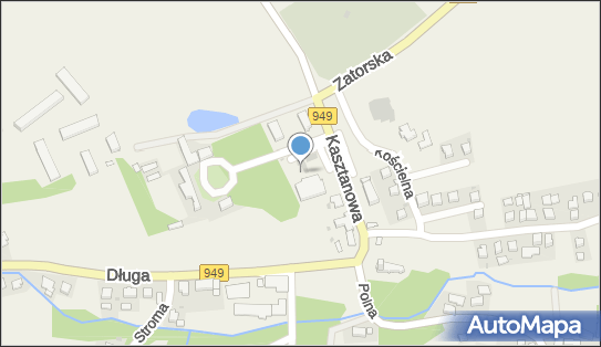 Moya, Pałacowa 2, Polanka Wielka 32-607, godziny otwarcia