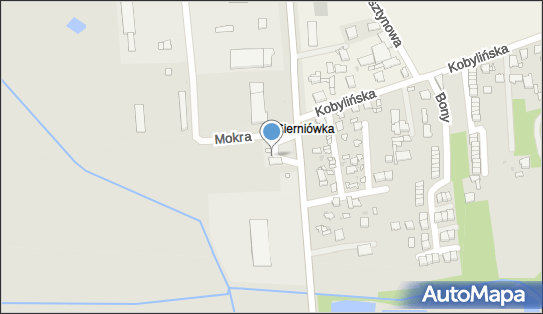 Moya, Armii Krajowej 37, Grójec 05-600, godziny otwarcia