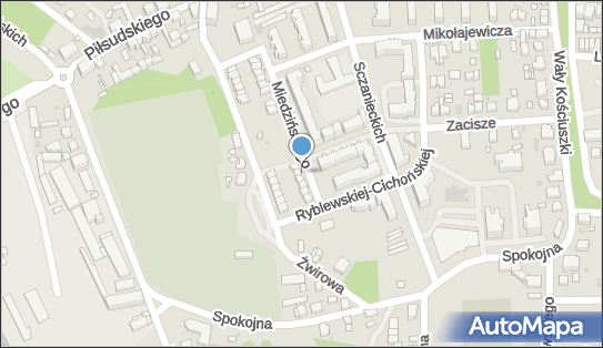 LT MOSTY Leszek Tkaczyk, ul. Józefa Miedzińskiego 9, Rawicz 63-900 - Nadzór budowlany, NIP: 7491472544