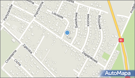 Nasze Sklepy - Sklep, Zagajnikowa 18, Ozorków 95-035, godziny otwarcia, numer telefonu