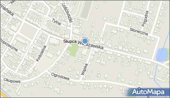 Netto - Supermarket, Warszawska 12, Słupca 62-400, godziny otwarcia, numer telefonu
