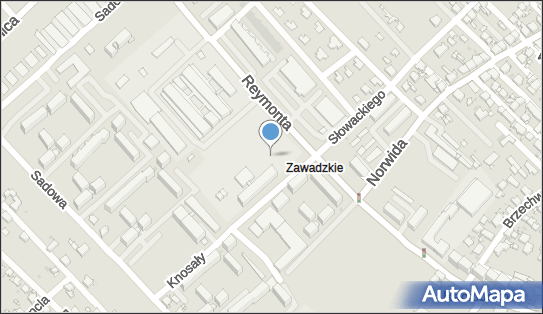 plac manewrowy RAJD, Knosały Józefa, ks. dr. 113, Radzionków 41-922 - Obiekt sportowy