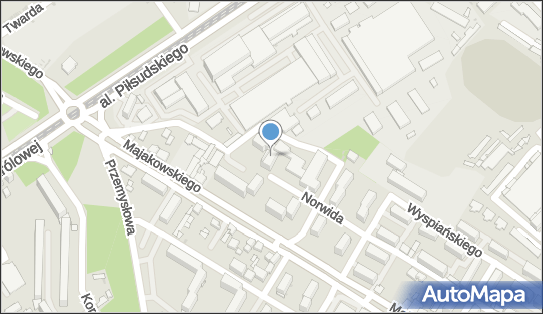 Lew But Sklep Handlowy, ul. Cypriana Kamila Norwida 1, Sosnowiec 41-207 - Obuwniczy - Sklep, NIP: 6441030476