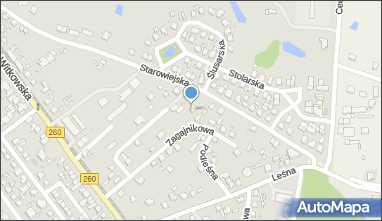 P.P.H. SAN-BUT, Starowiejska 30, Gniezno - Obuwniczy - Sklep