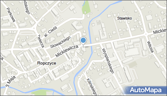 8181001035, Sklep Obuwniczy Jan Mokrzycki 